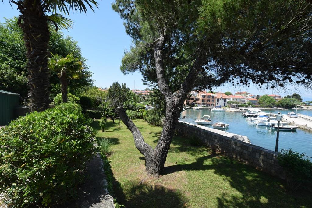 Apartments Frane photo 2