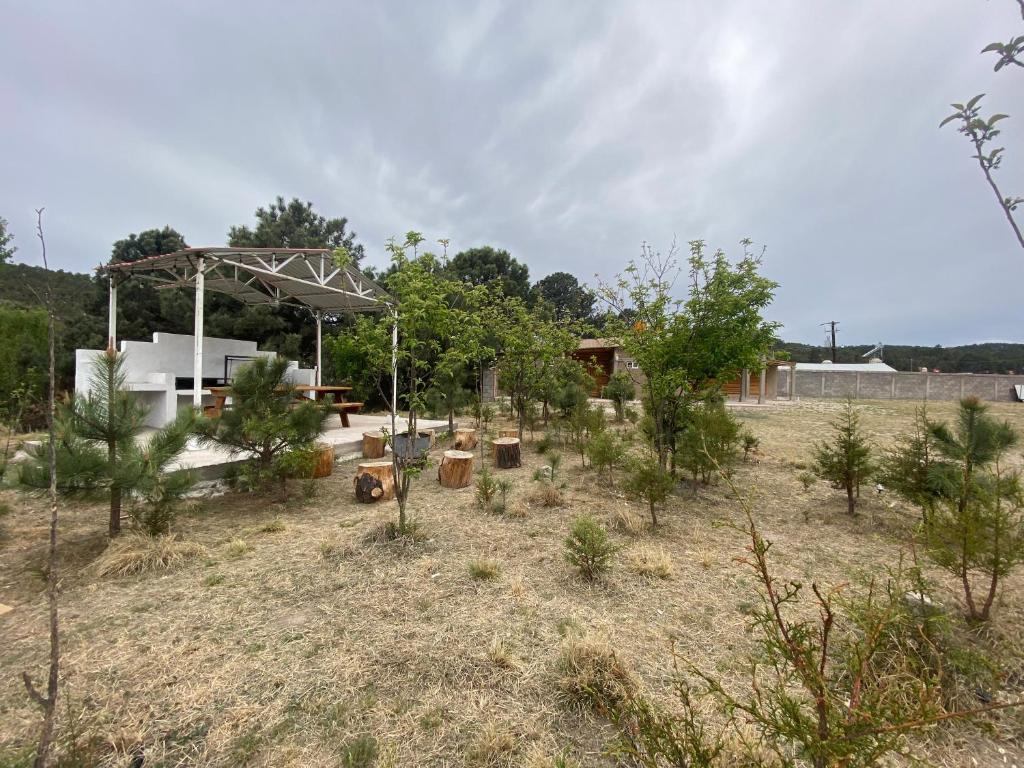 Cabañas Rochivo Ranch photo 2