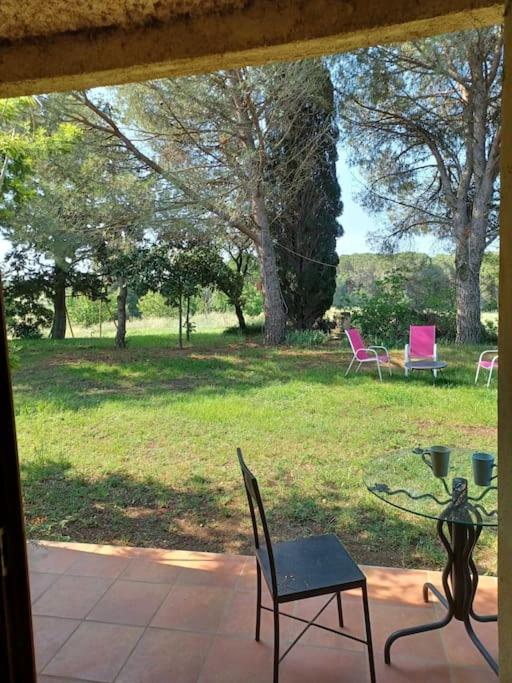 Studio dans un Domaine viticole photo 1