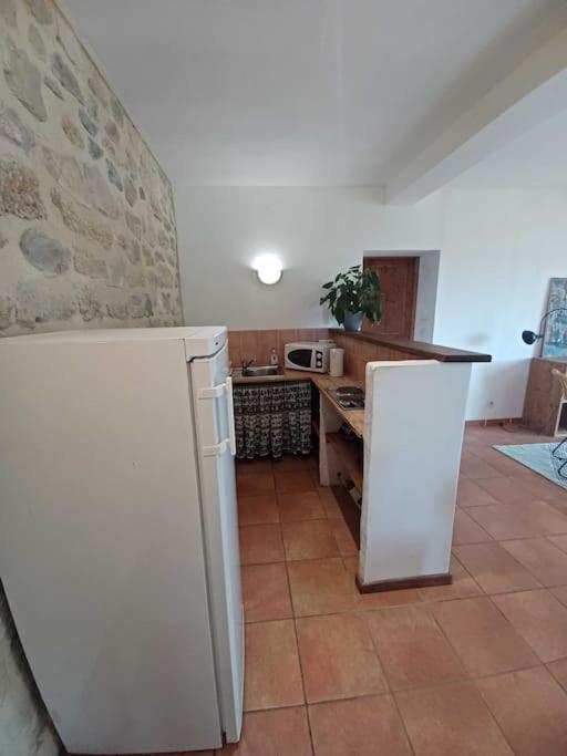 Studio dans un Domaine viticole photo 4