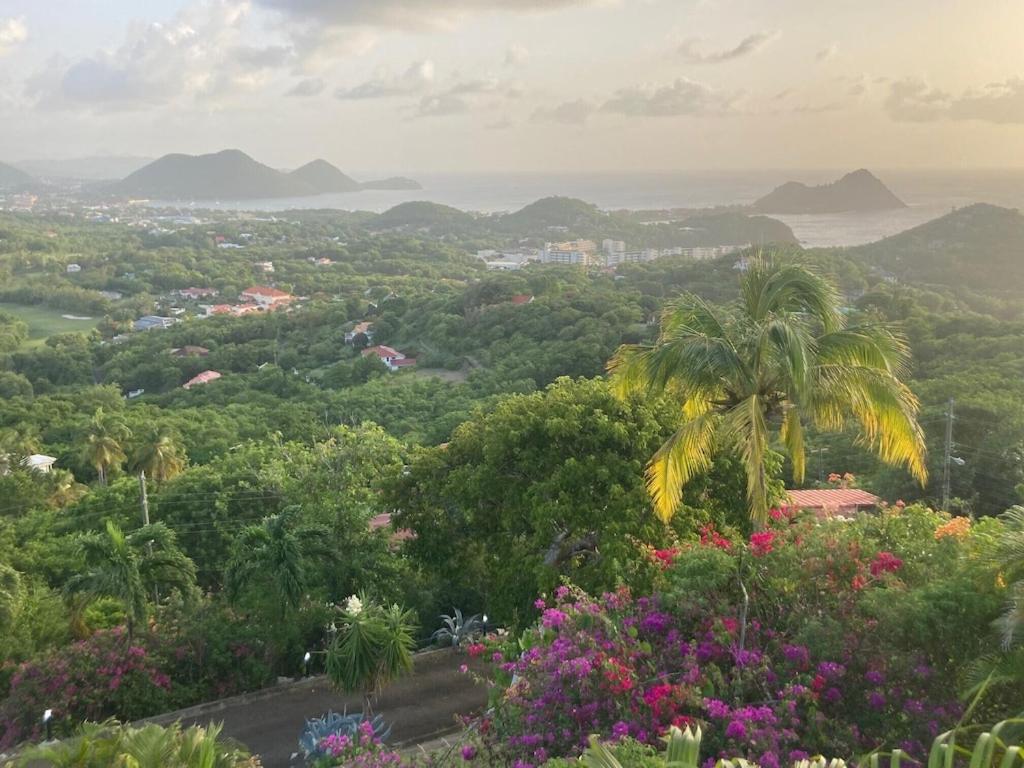 Villa Ocean Blu photo 3
