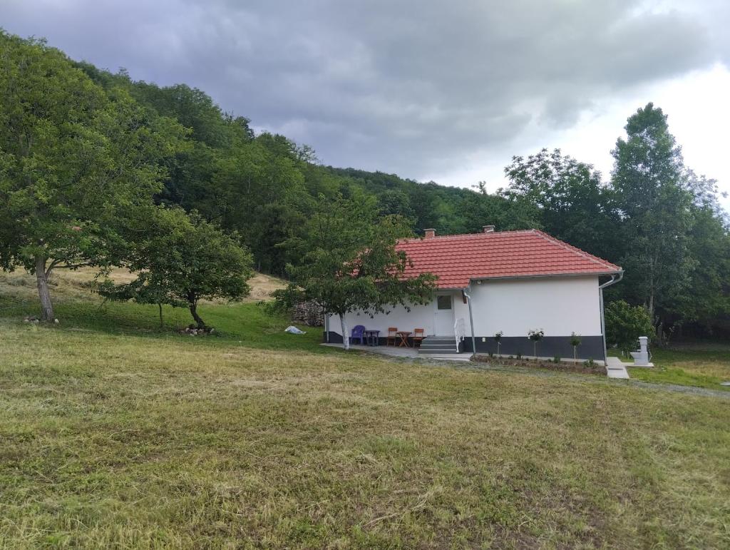 Vitovnicki Mir photo 4