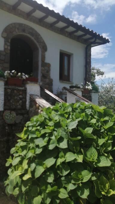 Apartamento en casa rural con amplio jardín a 5 min de la playa photo 2