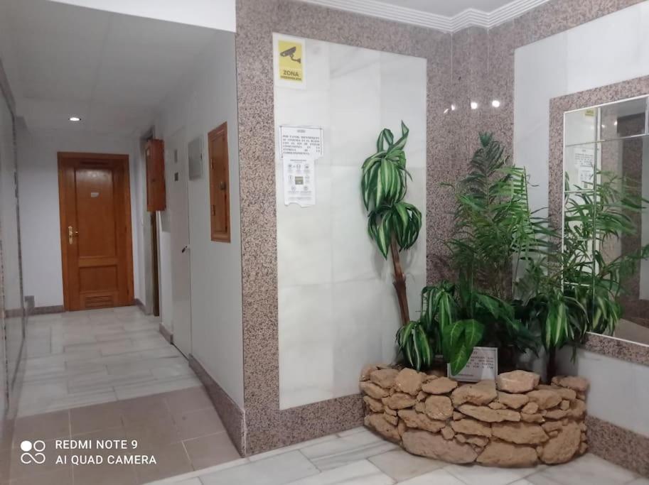 Moderno apartamento al lado de playa La Mata Alicante photo 4