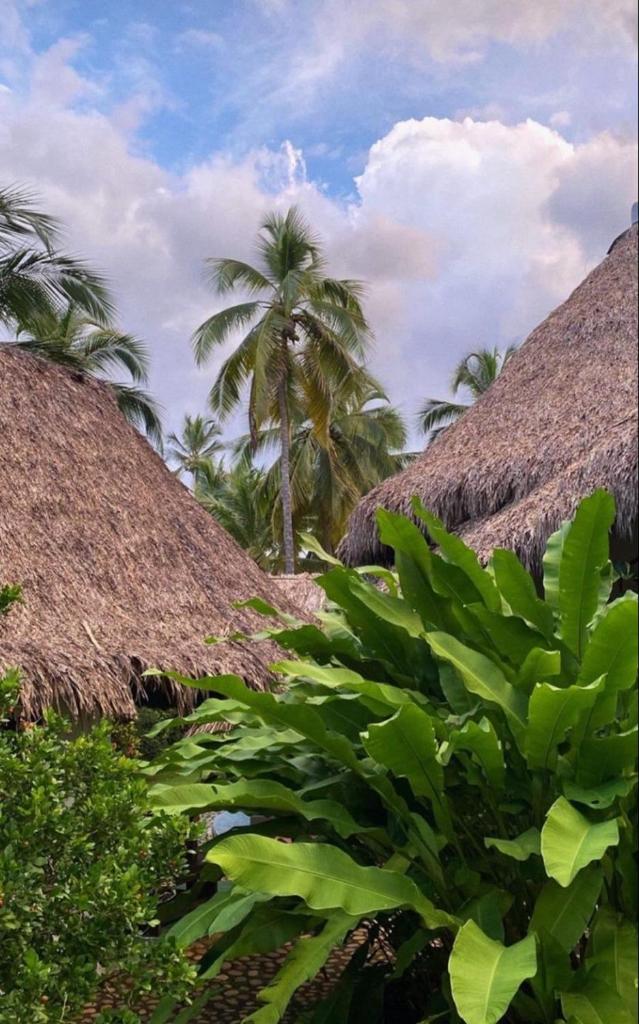 Casa Yuluka en la playa, Palomino photo 2