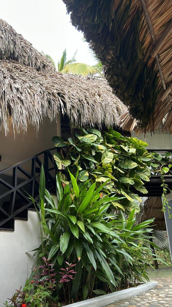 Casa Yuluka en la playa, Palomino photo 1