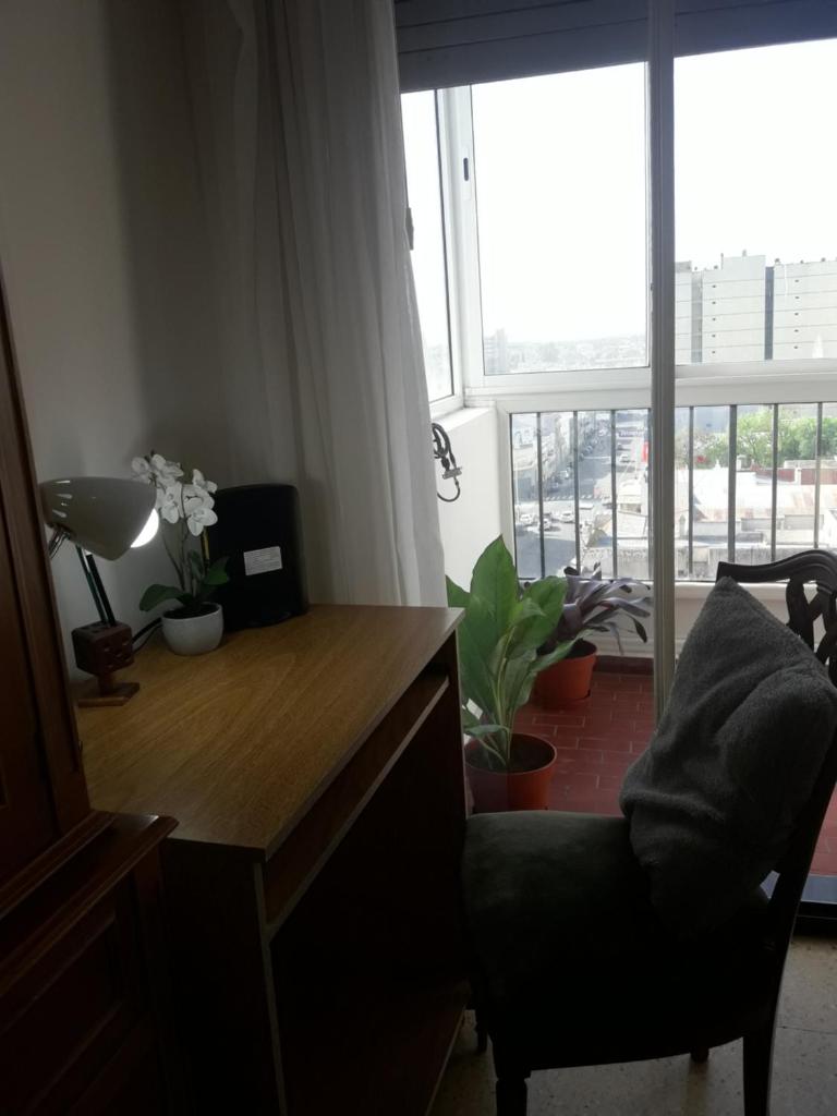 Hermoso departamento céntrico en Bahía Blanca photo 3