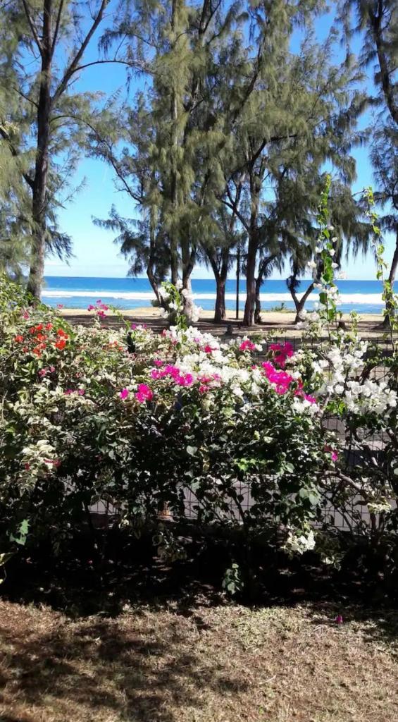 Leu lagon photo 3