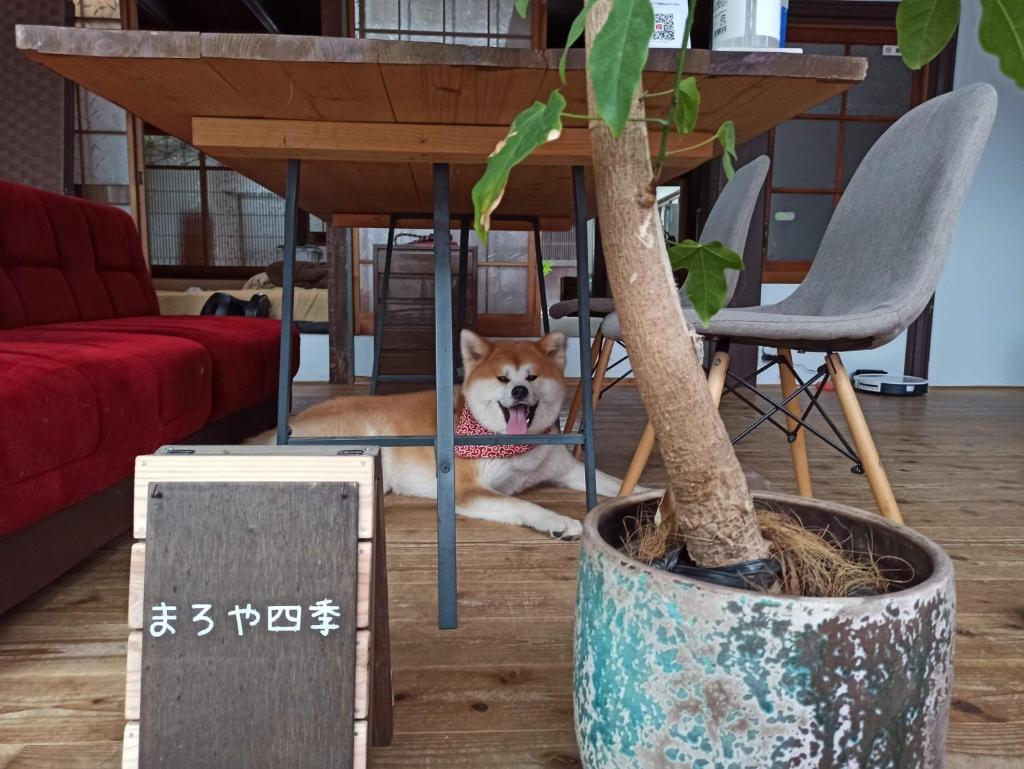 Maroyashiki - Vacation STAY 70236v