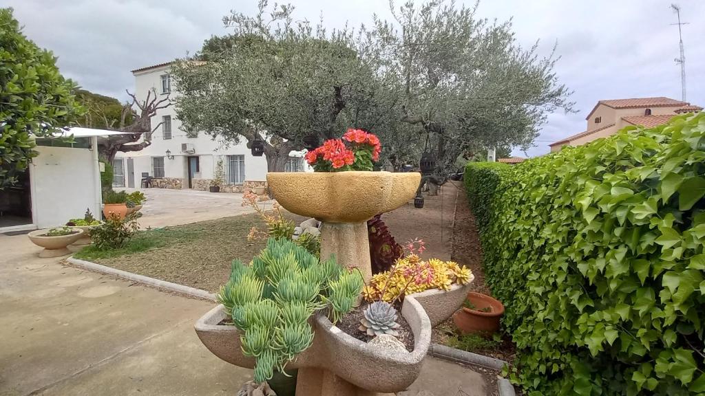 Apartments in Villa Isabel photo 2