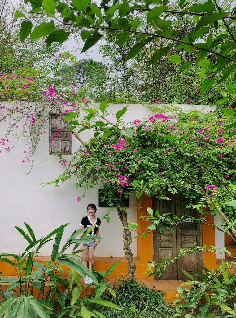 The Art - Farmstay VN - Roses Villa