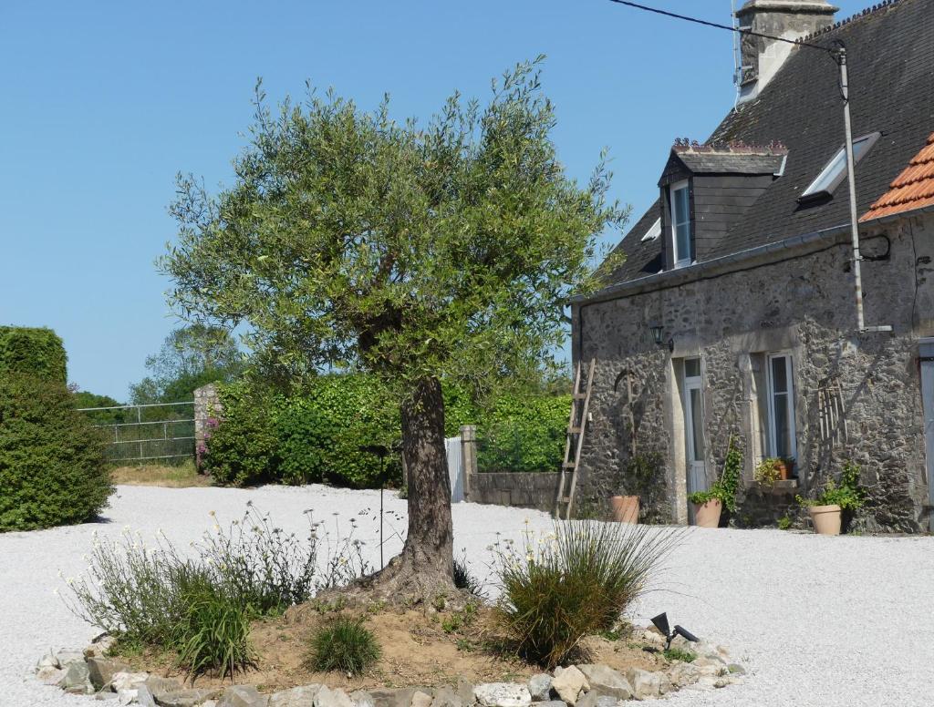 Ode à la nature