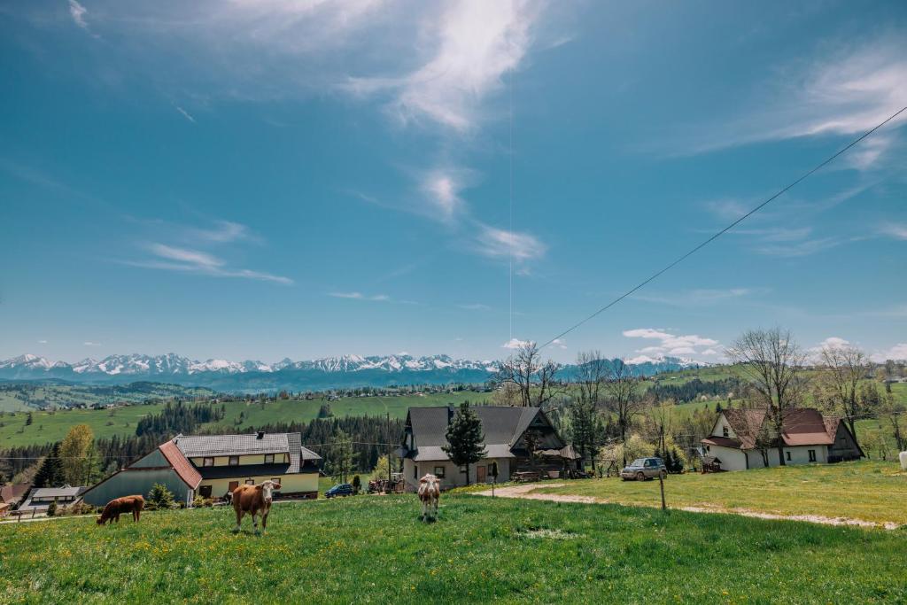 Pokoje gościnne U Semlów photo 3