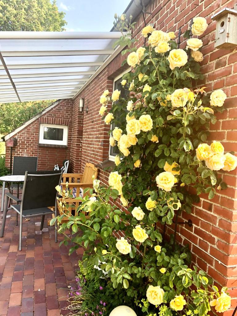 Naturparadies in Aurich