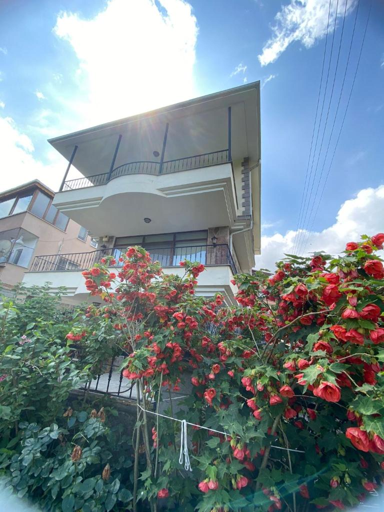Arpacılı Köyünde Müstakil Ev