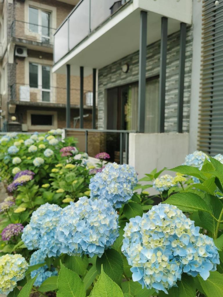 Solo apartments photo 4