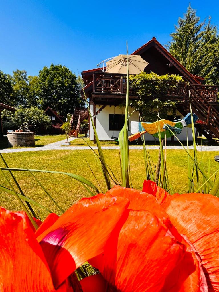 I - Apartament na Warmi dla rodzin z dziećmi photo 4