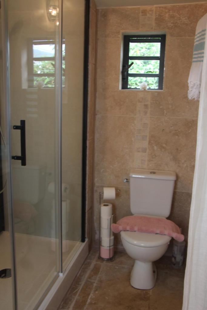 Lodge Ylang Ylang, LIANE DE JADE 974 -piscine - jacuzzi privatif photo 2
