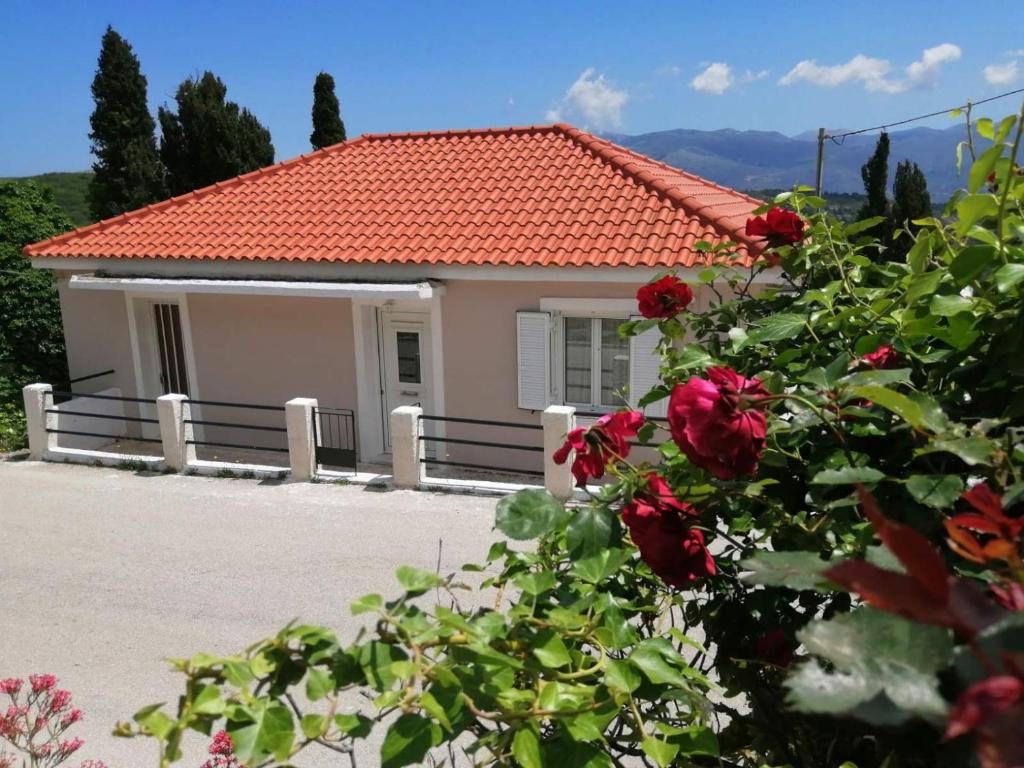 Dina's House photo 1