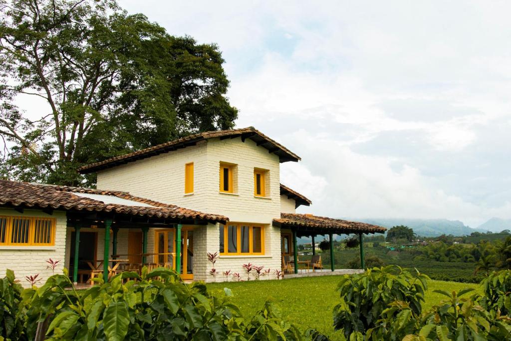 Finca Los Juncos photo 4