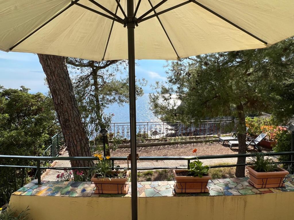 Liguria Holidays - LA CASA DEI DELFINI