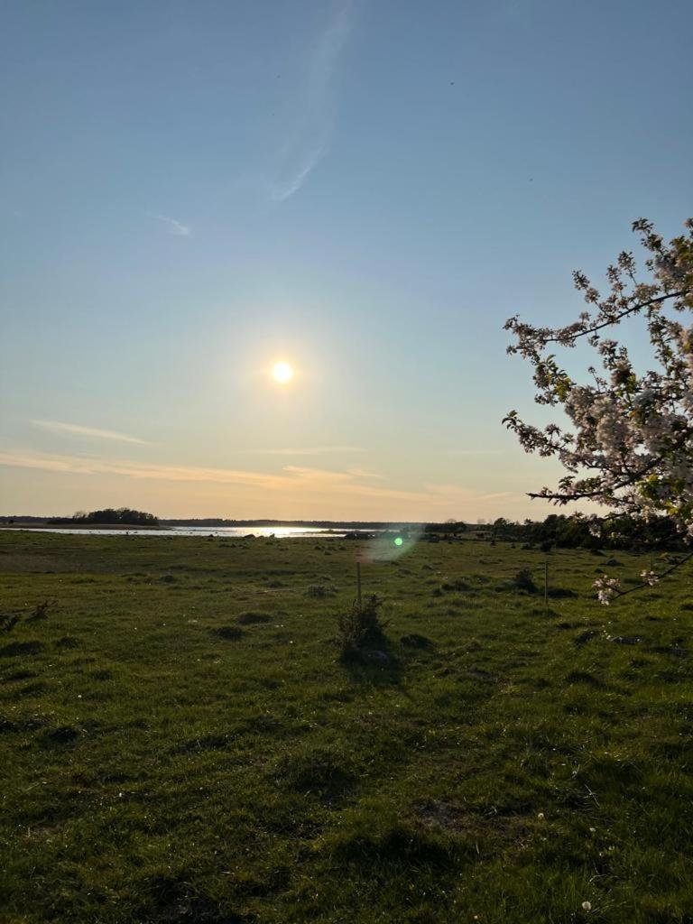 Pädaste Aerga Sunset Glamping photo 3