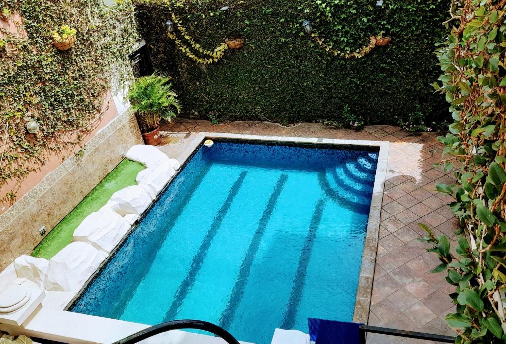 La Villa de Norma photo 4