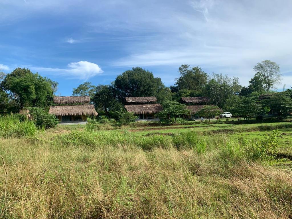 Web of Life Resort Wasgamuwa photo 3
