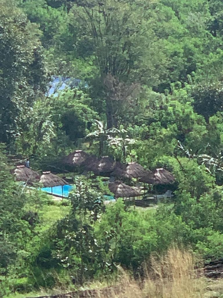 Web of Life Resort Wasgamuwa photo 4