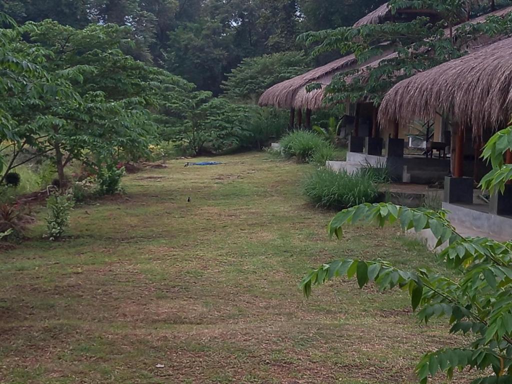 Web of Life Resort Wasgamuwa photo 1