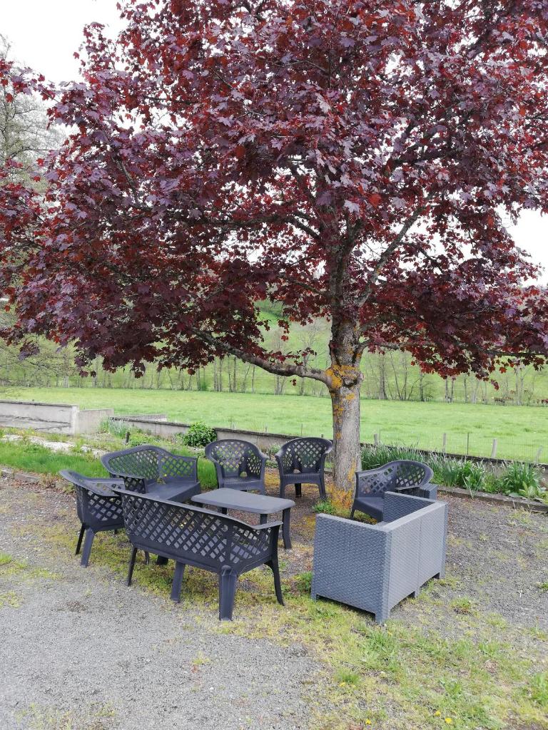 Grand gite 14 personnes ,cour ,salle de jeux, proche du village , commerces photo 1