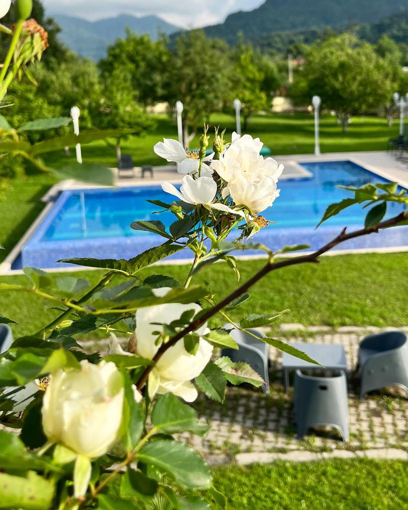 Beyaz Köşk Geyve photo 4