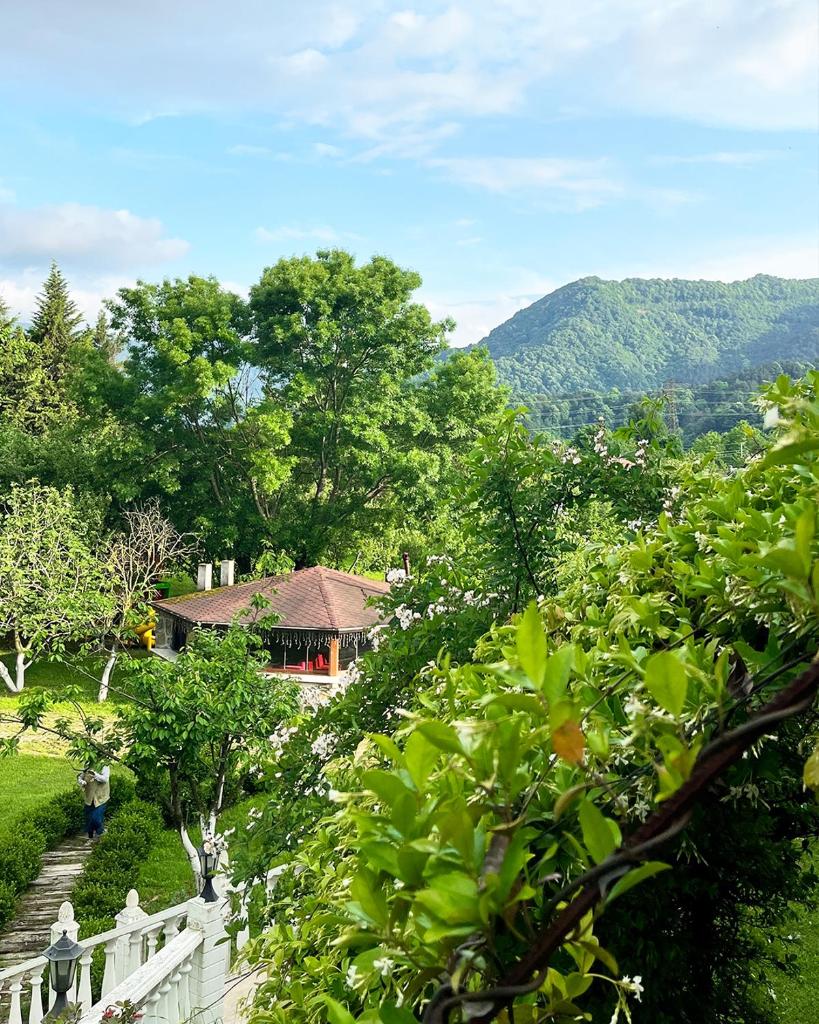 Beyaz Köşk Geyve photo 3
