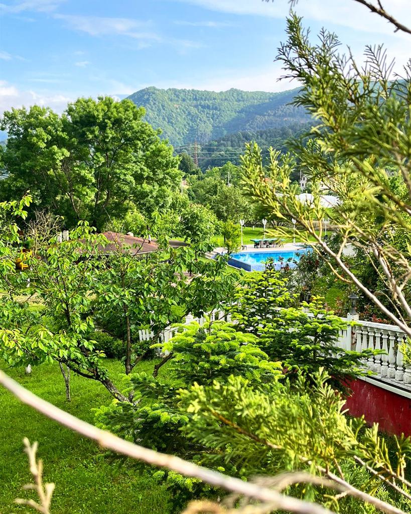 Beyaz Köşk Geyve photo 2
