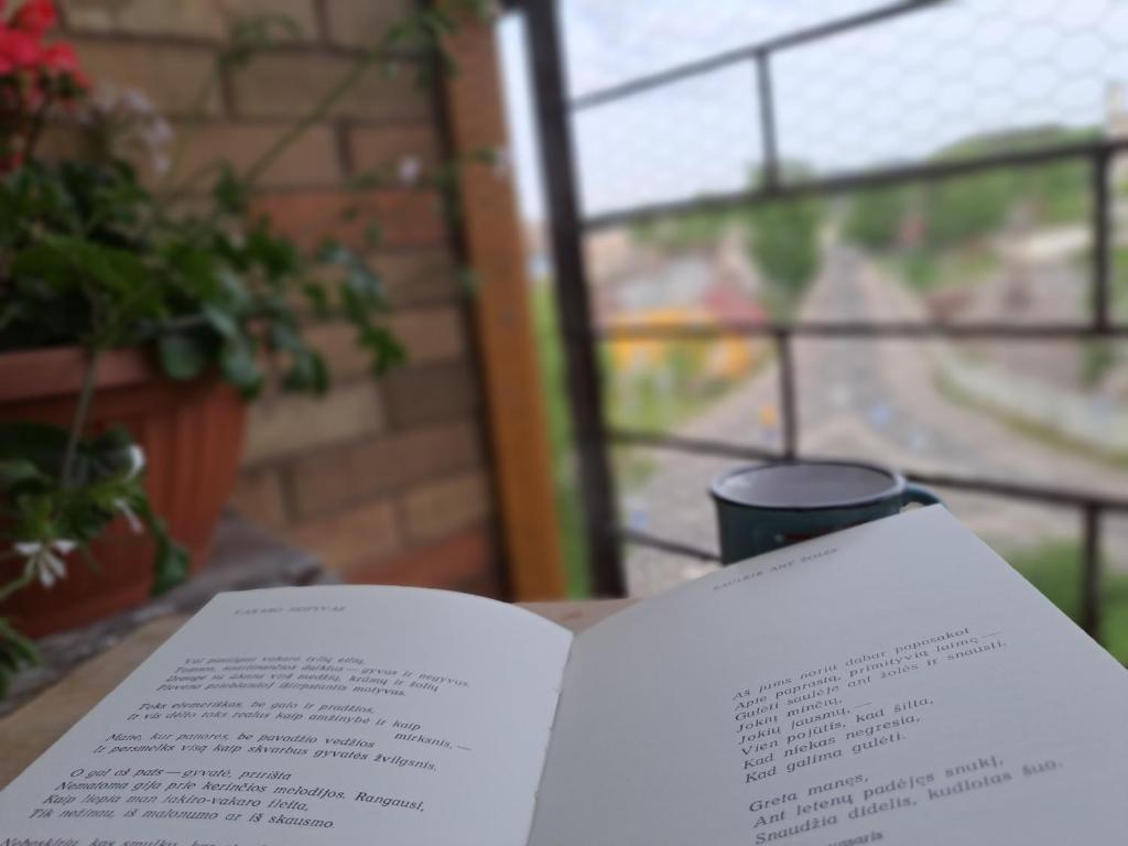 Butas Anykščiuose šeimoms photo 4