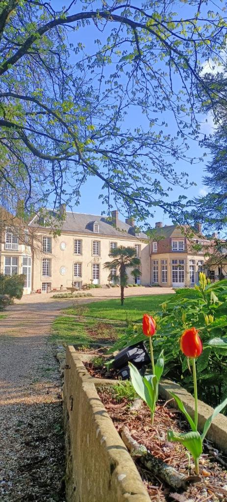 Chateau de la Grand'Maison