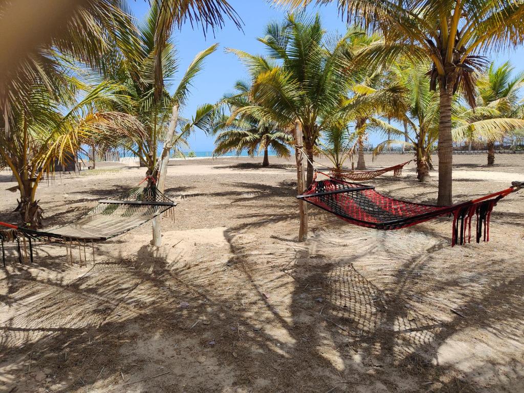 Grande maison en bordure de plage photo 3