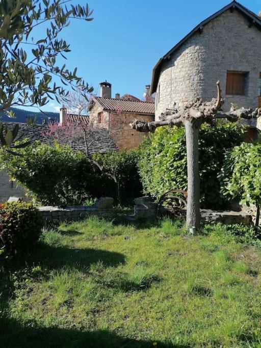 GITE LA CARDABELLE photo 3