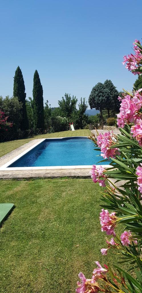 Case in campagna con piscina a Todi (monolocale) photo 1