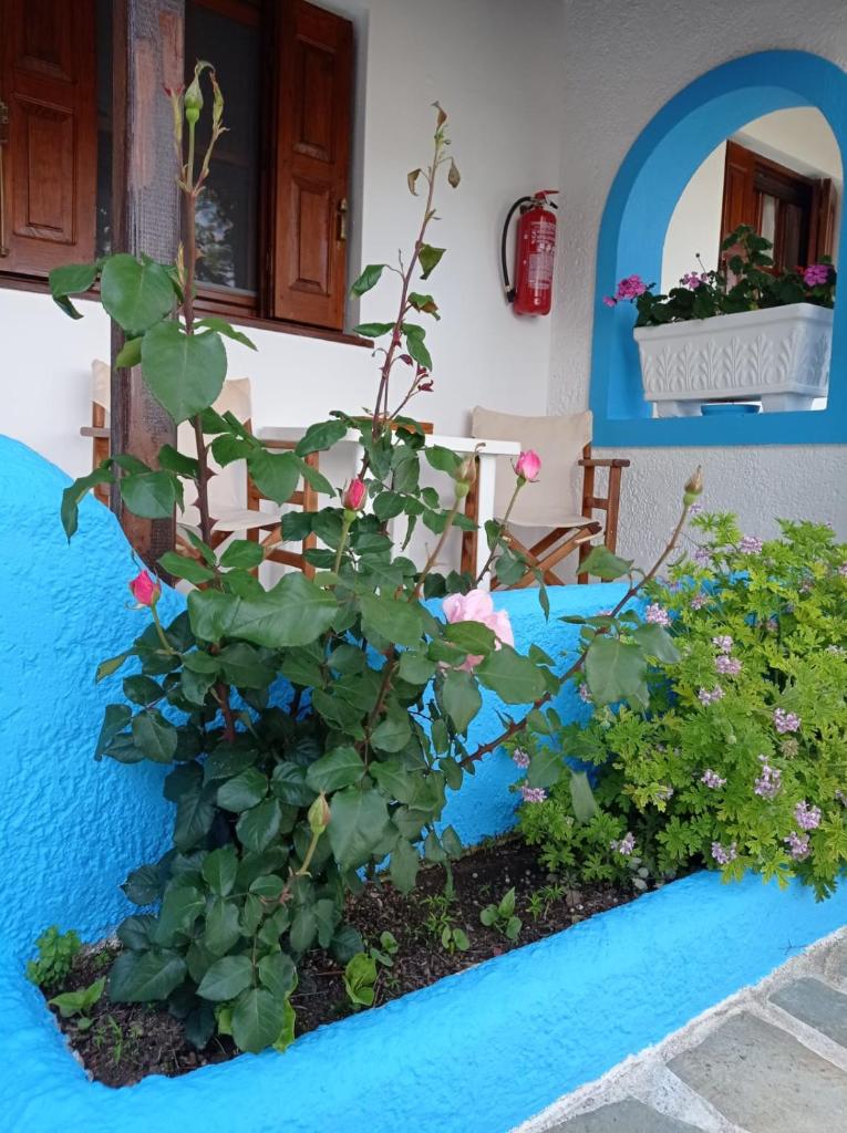 Studios Ioanna Limnionas Samos photo 3