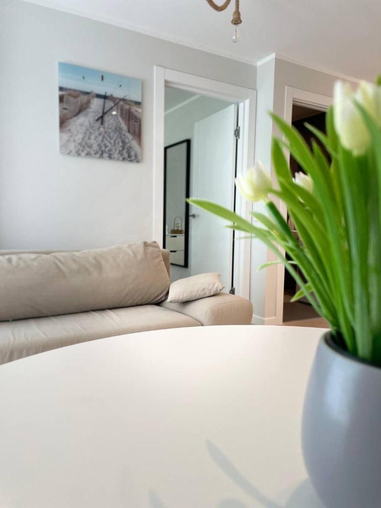 Three By The Sea apartments at Albatross Home photo 3