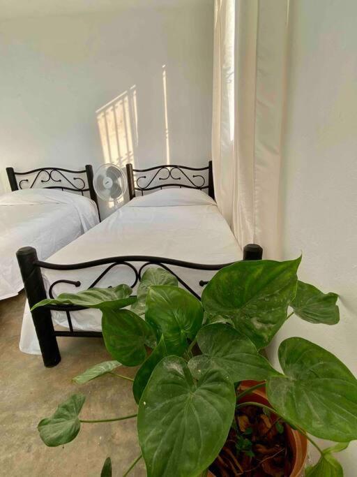 La casita de Moni photo 2