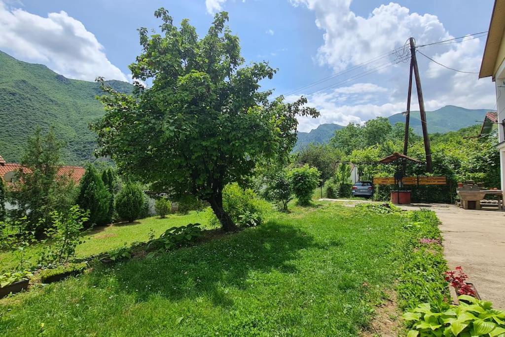 ILIS House Matka photo 2