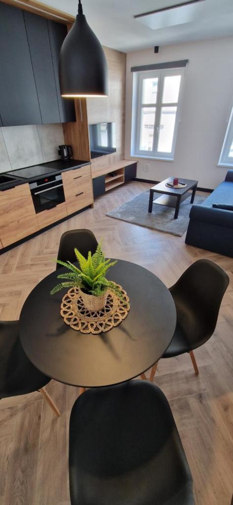 Apartament Książ