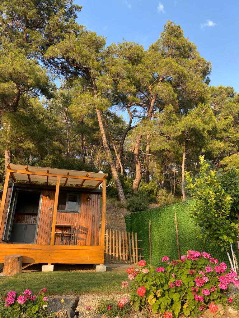 Tiny Mini House photo 1