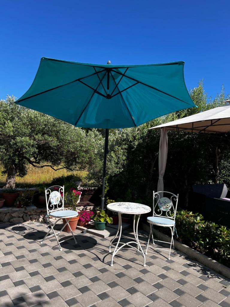 Villa Stella photo 1