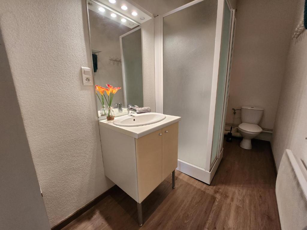 Gite Bruyère, 2 à 5 personnes avec salle de jeux et SPA dans la résidence - Tap to explore photos