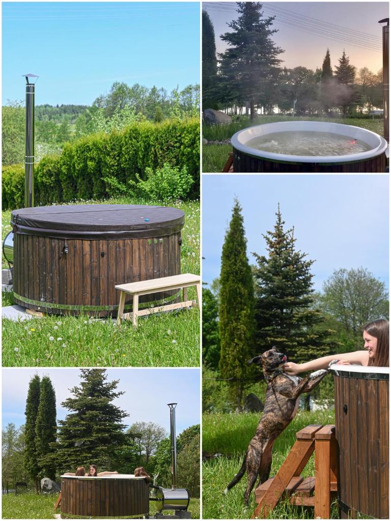 Mozaikų sodyba