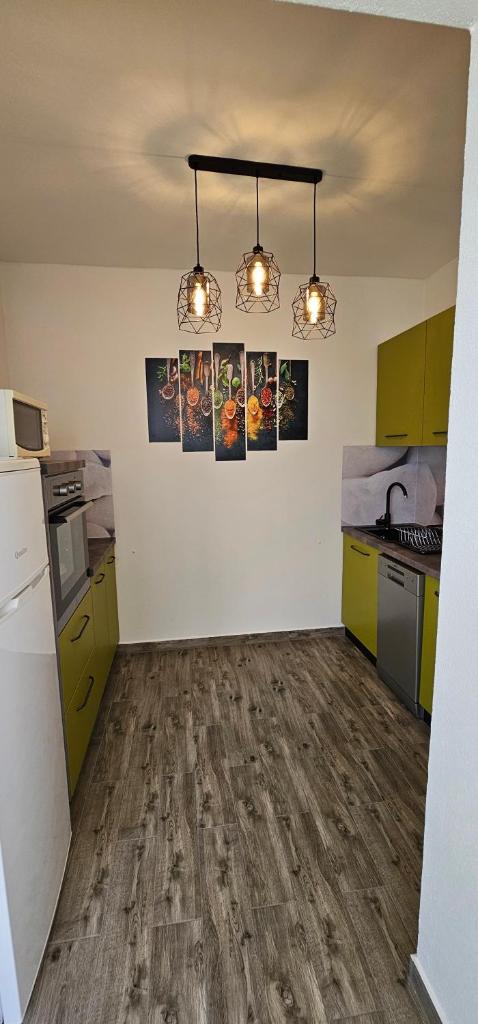 Apartment Žuna photo 4