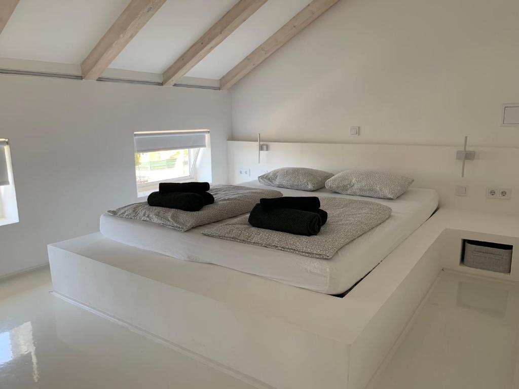 Apartment Pampas photo 4